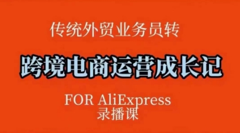 跨境电商速卖通运营课，​运营方法论+后台实操，逻辑清晰-初橙资源网