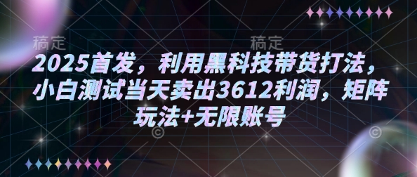 2025首发，利用黑科技带货打法，小白测试当天卖出3612利润，矩阵玩法+无限账号【揭秘】-初橙资源网