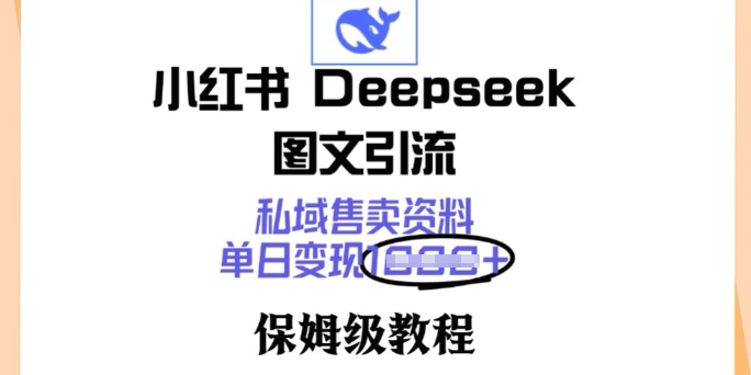 小红书Deepseek图文引流，私域售卖资料，单日变现多张，保姆级教程-初橙资源网
