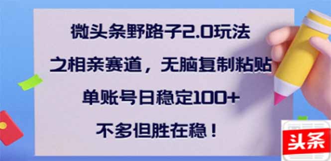 （14334期）微头条野路子2.0玩法之相亲赛道，无脑搬砖复制粘贴，单账号日稳定300+…-初橙资源网