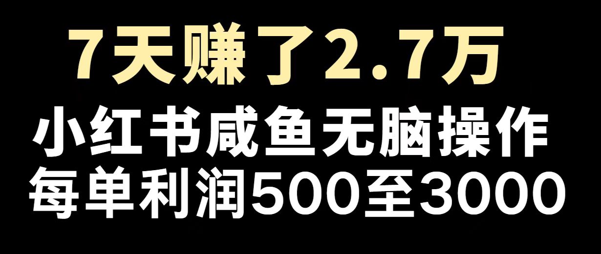 （14183期）最赚钱项目之一，2025爆火，逆风翻盘！-初橙资源网