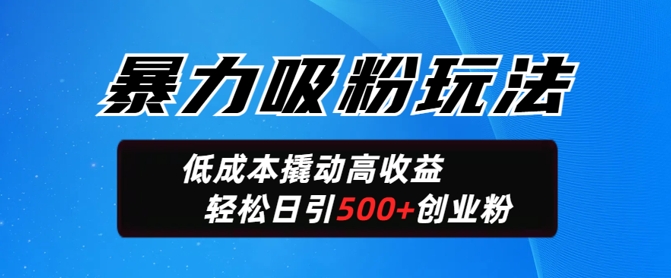 暴力吸粉玩法，日引500+精准创业粉，日变现轻松多张-初橙资源网