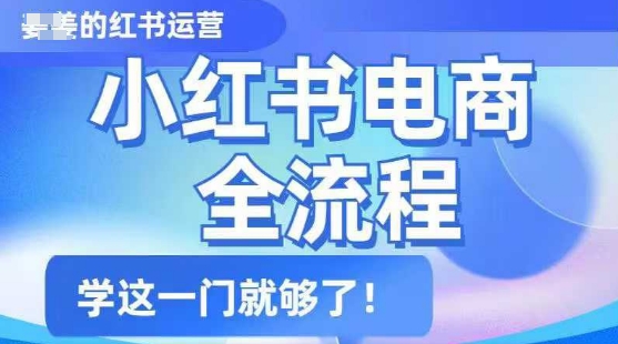 小红书电商全流程，精简易懂，从入门到精通，学这一门就够了-初橙资源网