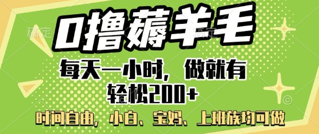 0撸薅羊毛，每天一小时，做就有轻松2张，小白宝妈，上班族均可做-初橙资源网