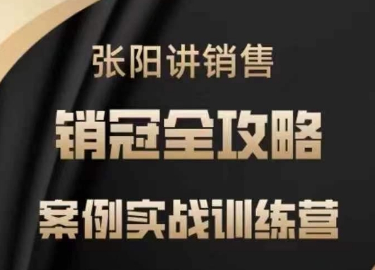 张阳讲销售实战训练营，​案例实战训练，销冠全攻略-初橙资源网