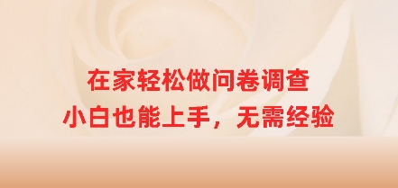在家轻松做问卷调查，小白也能上手，无需经验-初橙资源网