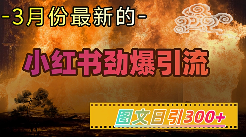 小红书超劲爆引流手段，图文日引300+轻松变现1W-初橙资源网