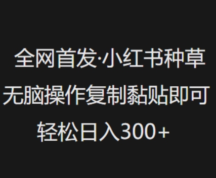 全网首发,小红书种草无脑操作,复制黏贴即可,轻松日入3张-初橙资源网