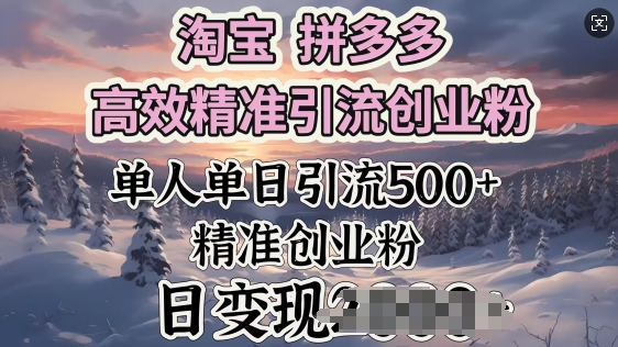 淘宝拼多多高效精准引流创业粉，单人单日引流500+创业粉，日变现多张-初橙资源网