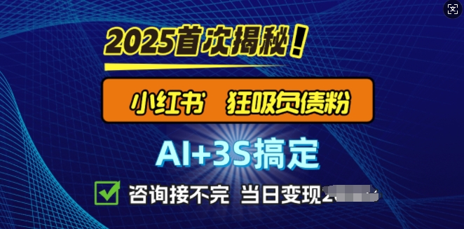 2025引流天花板：最新小红书狂暴负债粉思路，咨询接不断，当日入多张-初橙资源网