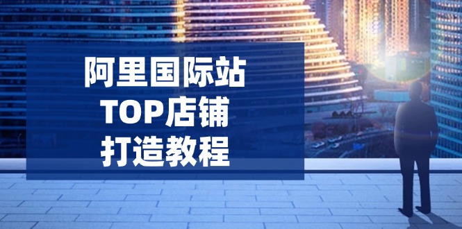 （14269期）阿里国际站TOP店铺打造教程：涵盖平台到高阶，解决运营难题，提升询盘-初橙资源网