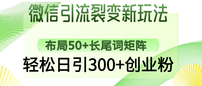 微信引流裂变新玩法：布局50+长尾词矩阵，轻松日引300+创业粉-初橙资源网