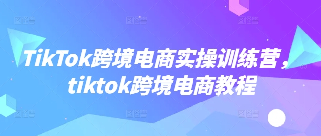 TikTok跨境电商实操训练营，tiktok跨境电商教程-初橙资源网