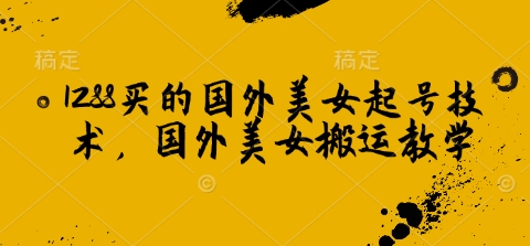 1288买的国外美女起号技术，国外美女搬运教学-初橙资源网