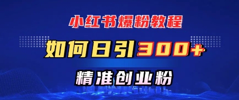 小红书爆粉教程，如何日引300+创业粉，快速实现精准变现-初橙资源网