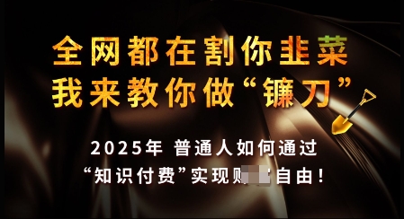 知识付费如何做到月入过W+，2025我来教你做“镰刀”【揭秘】-初橙资源网
