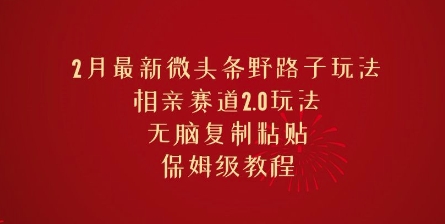 2月最新微头条野路子玩法，相亲赛道2.0玩法，无脑复制粘贴，保姆级教程-初橙资源网