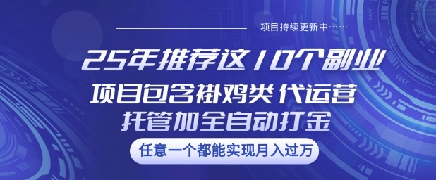25年推荐这10个副业项目包含褂鸡类、代运营托管类、全自动打金类【揭秘】-初橙资源网