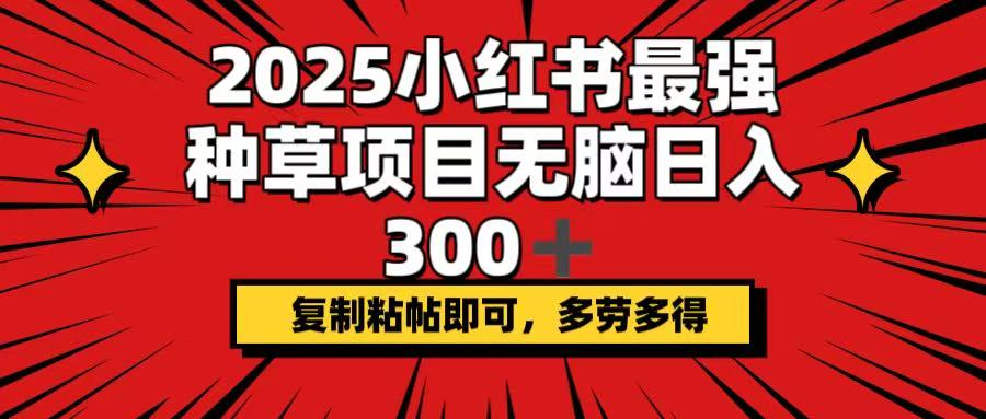 （14375期）2025小红书最强种草项目，无脑日入300+，复制粘帖即可，多劳多得-初橙资源网