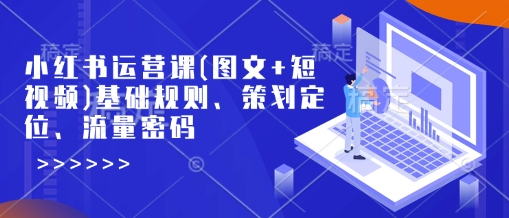 小红书运营课(图文+短视频)基础规则、策划定位、流量密码-初橙资源网
