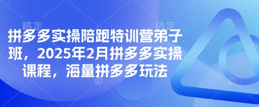 拼多多实操陪跑特训营弟子班，2025年2月拼多多实操课程，海量拼多多玩法-初橙资源网