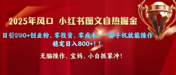 25年风口小红书图文掘金，日引300+创业粉、零投资、零成本、一部手机就能操作-初橙资源网