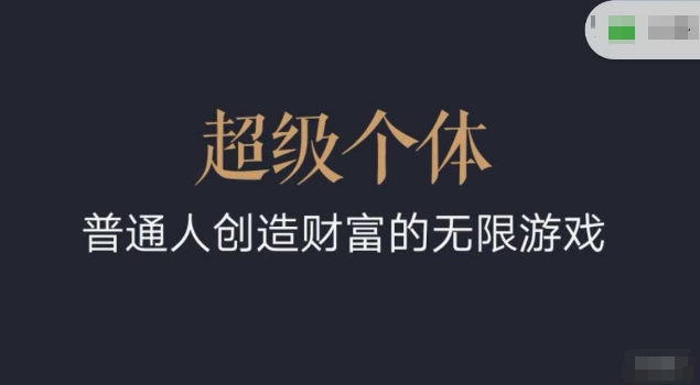超级个体2024-2025翻盘指南，普通人创造财富的无限游戏-初橙资源网