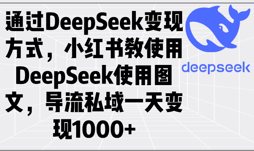 （14179期）通过DeepSeek变现方式，小红书教使用DeepSeek图文，导流私域一天变现1000+-初橙资源网