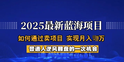 2025蓝海项目，普通人如何通过卖项目，实现月入过W，全过程【揭秘】-初橙资源网
