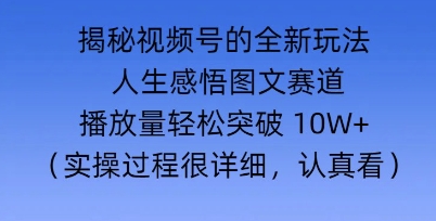 Deepseek和即梦结合，做一个【人生图文感悟】的视频号-初橙资源网
