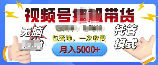 视频号挂J橱窗带货，纯托管模式，日入多张，无需剪辑，无需选品，有账号即可托管【揭秘】-初橙资源网