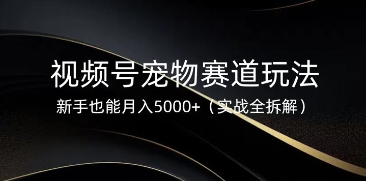 视频号宠物赛道玩法，新手也能月入5k(实战全拆解)-初橙资源网
