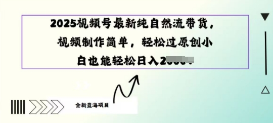 2025视频号最新纯自然流带货， 视频制作简单，轻松过原创小 白也能轻松操作-初橙资源网