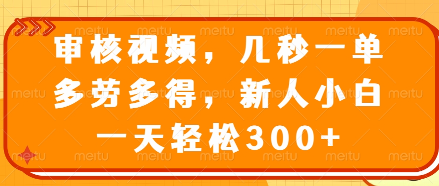 （14294期）审核视频，几秒一单，多劳多得，新人小白一天轻松300+-初橙资源网