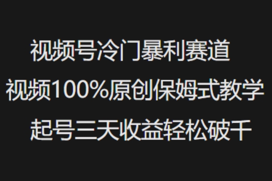 视频号冷门暴利赛道视频100%原创保姆式教学起号三天收益轻松破千-初橙资源网