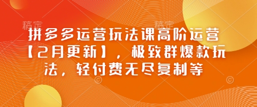 拼多多运营玩法课高阶运营【2月更新】，极致群爆款玩法，轻付费无尽复制等-初橙资源网