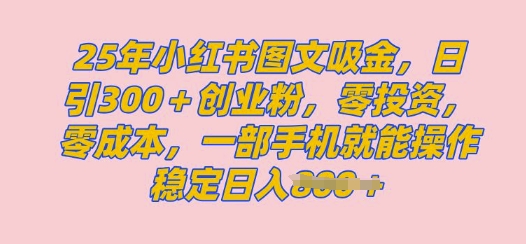 2025年小红书创业粉图文自热教程，日+300创业粉，单日变现多张，无脑操作，宝妈，小白抓紧冲-初橙资源网
