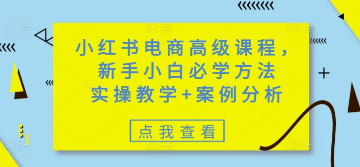 小红书电商高级课程，新手小白必学方法，实操教学+案例分析-初橙资源网