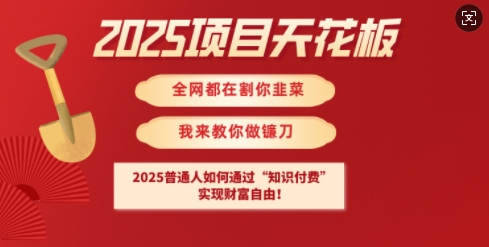 2025项目天花板普通人如何通过知识付费，实现财F自由【揭秘】-初橙资源网