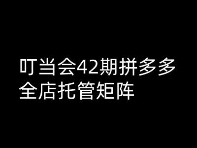 叮当会拼多多打爆班原创高阶技术第42期，拼多多全店托管矩阵-初橙资源网